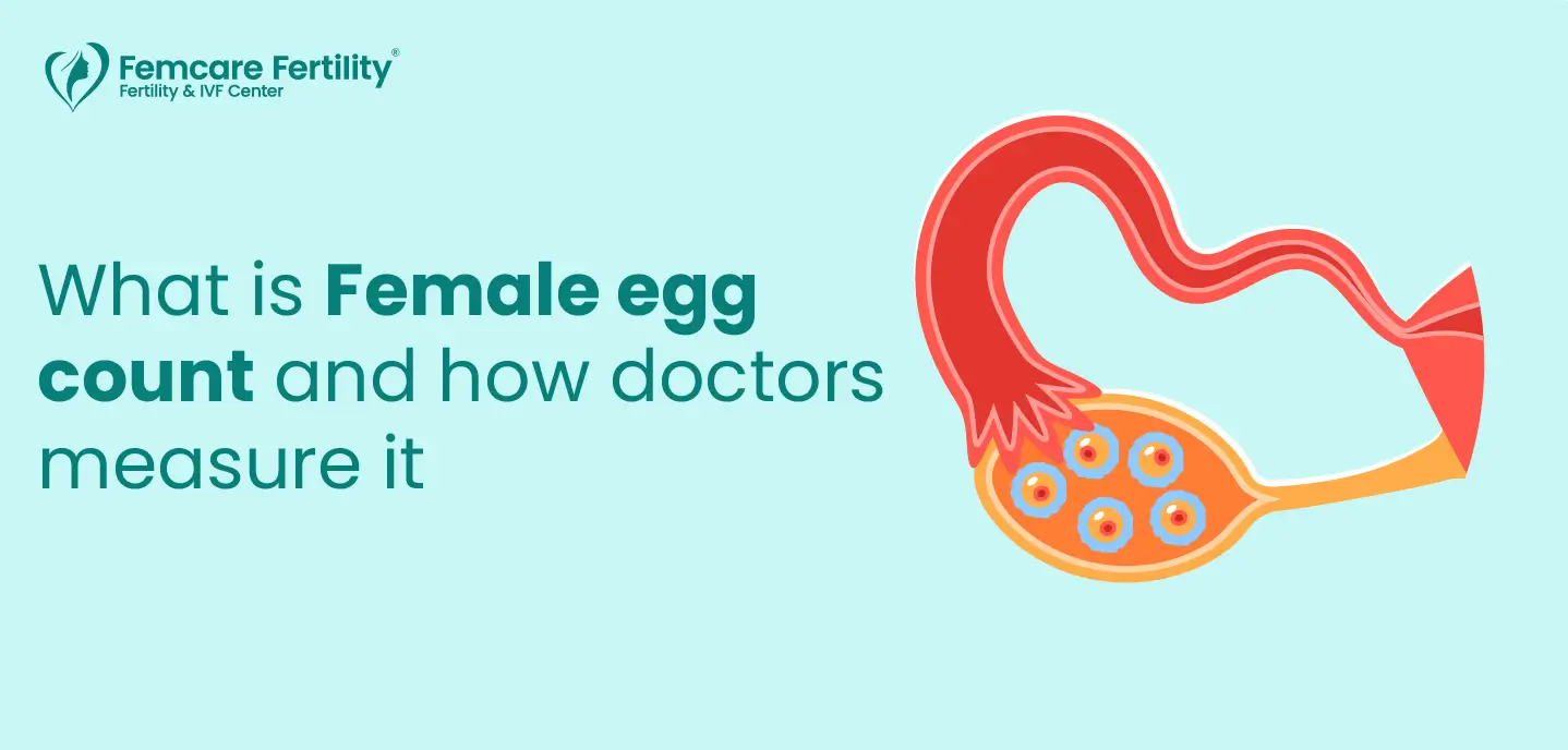female egg count