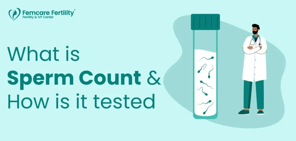 sperm count and how to test it