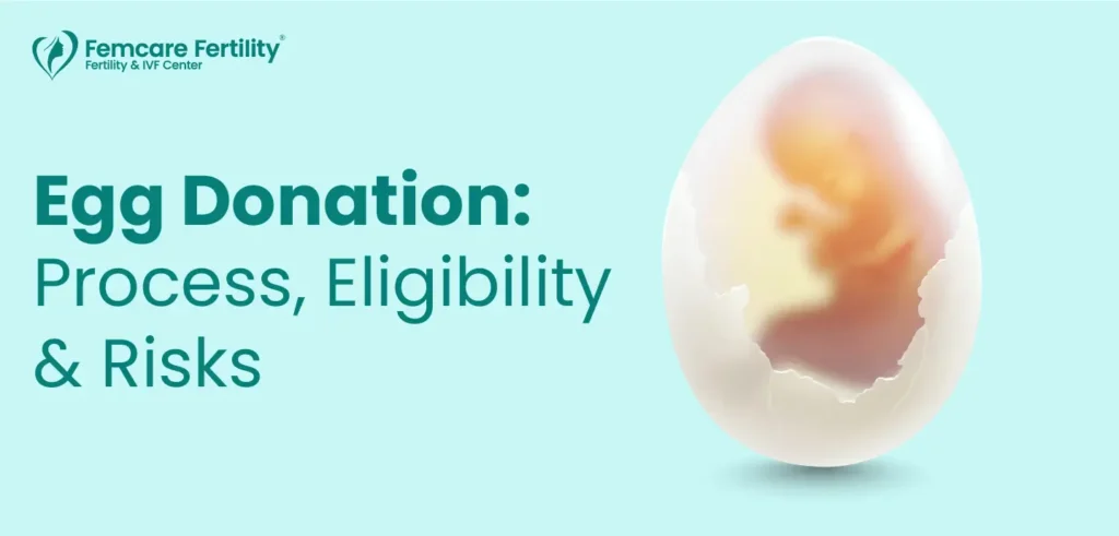 egg donation and who can donate eggs