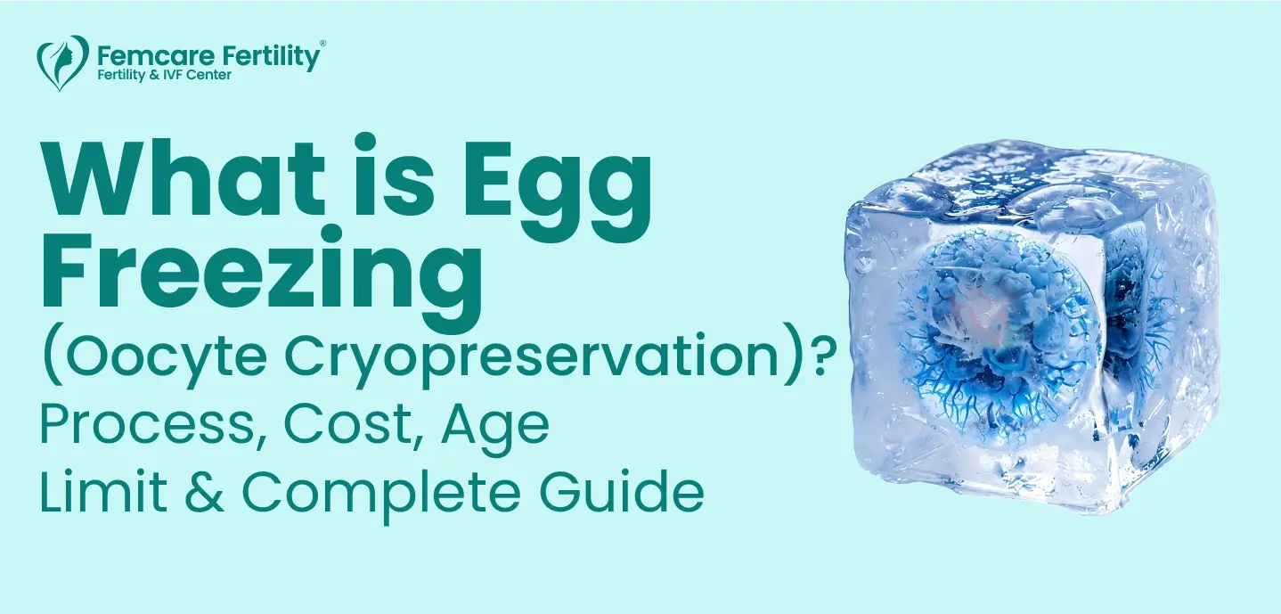 what is egg freezing