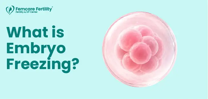 what is embryo freezing