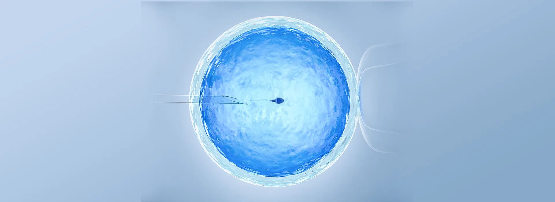 IVF treatment, process and cost